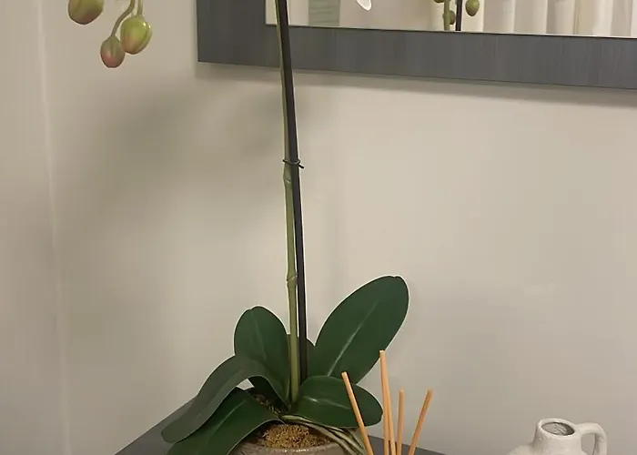 Il Pianoforte * 코모