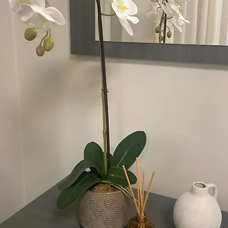 Il Pianoforte * コモ